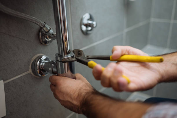 Best Plumbing Services Near Me  in Browns Lake, WI